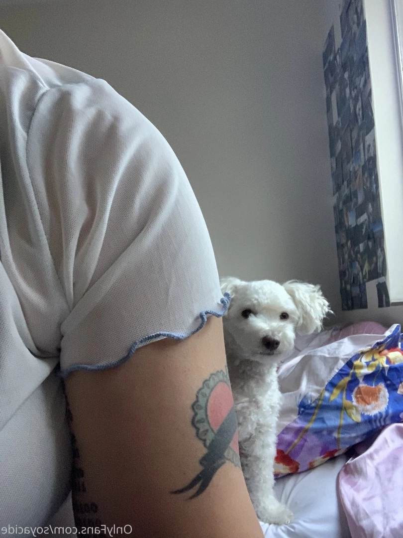 $oya [ soyacide ] Onlyfans leaked photo 4934099 on Hotleaks.tv