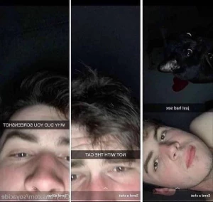 4934578