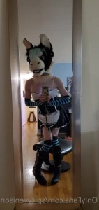 4999721