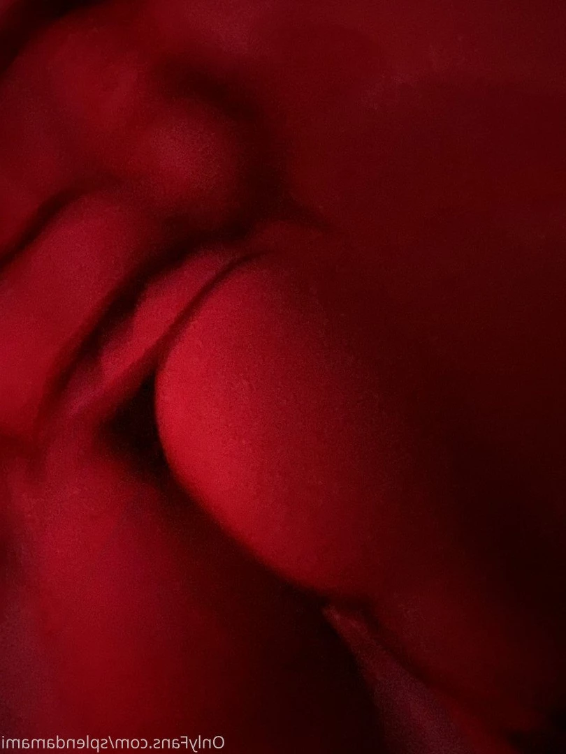 splendamami Onlyfans leaked photo 4930785 on Hotleaks.tv