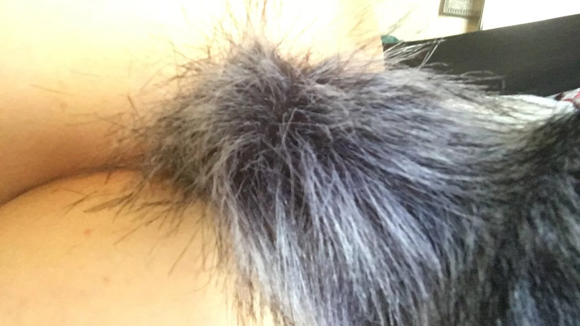 Tease-ujamz [ jamzjemmax ] Onlyfans leaked photo 531498 on Hotleaks.tv