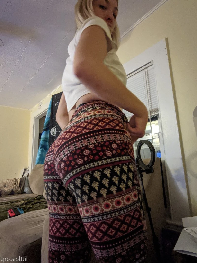 stonedscorpi0 Onlyfans leaked photo 4924208 on Hotleaks.tv