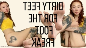 14127244