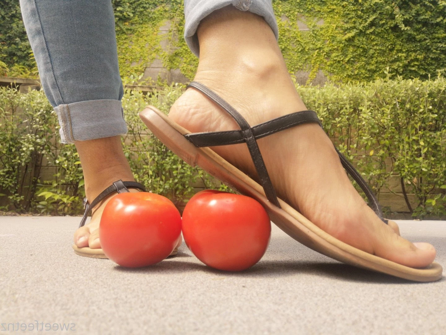 Sweet Feet NZ [ sweetfeetnz ] Onlyfans leaked photo 4970991 on Hotleaks.tv