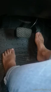 5395281