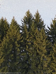 4966553