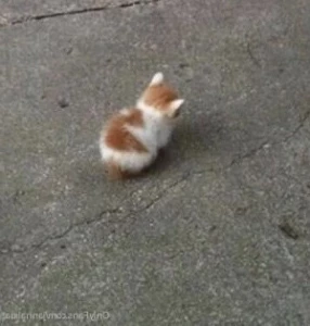 534415
