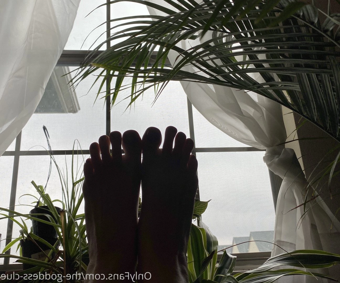 The Goddess Clue [ the-goddess-clue ] Onlyfans leaked photo 4873225 on Hotleaks.tv