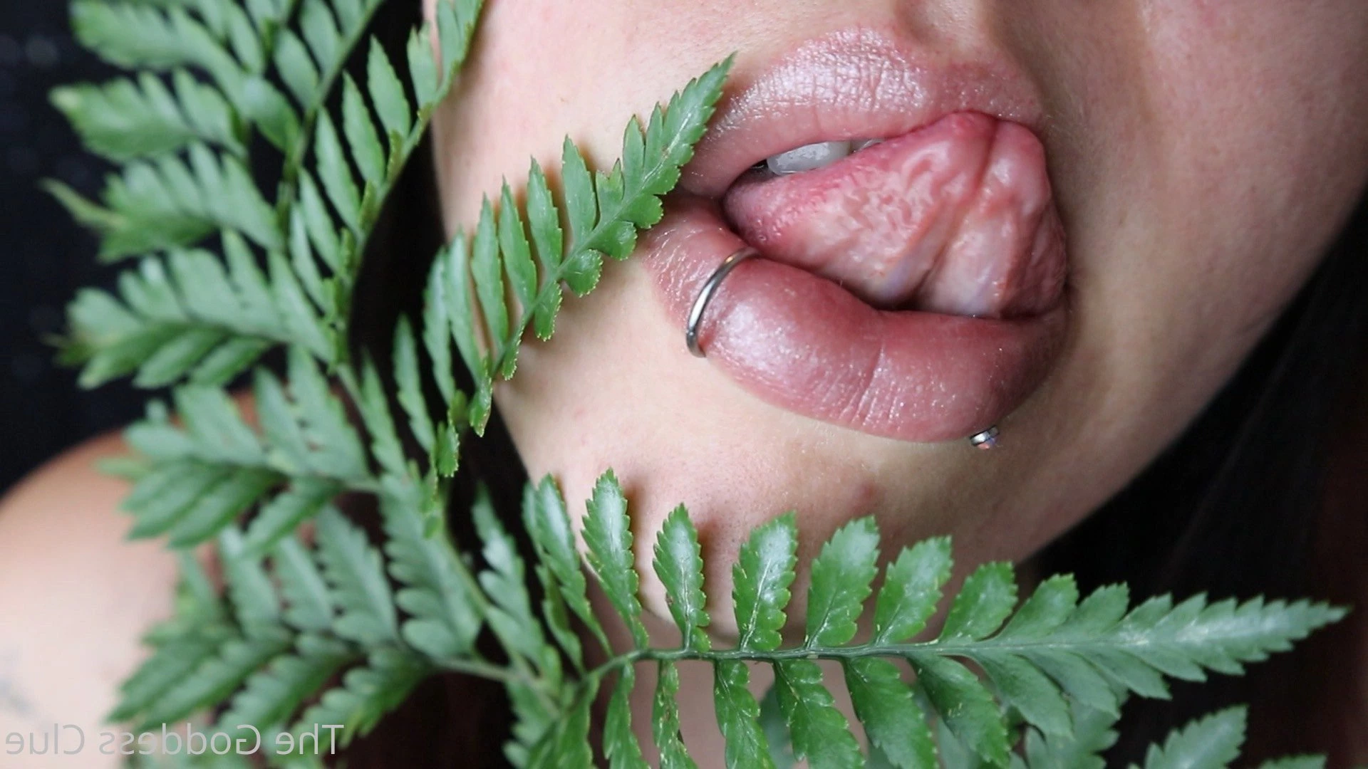 The Goddess Clue [ the-goddess-clue ] Onlyfans leaked photo 4882526 on Hotleaks.tv