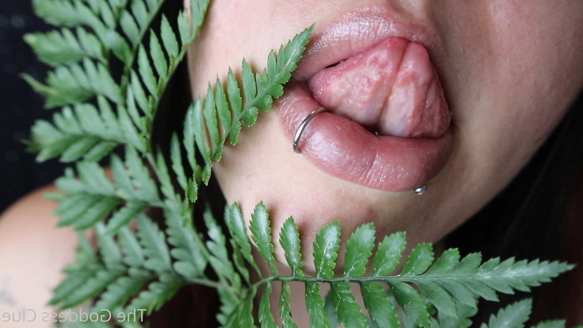 The Goddess Clue [ the-goddess-clue ] Onlyfans leaked photo 4883188 on Hotleaks.tv
