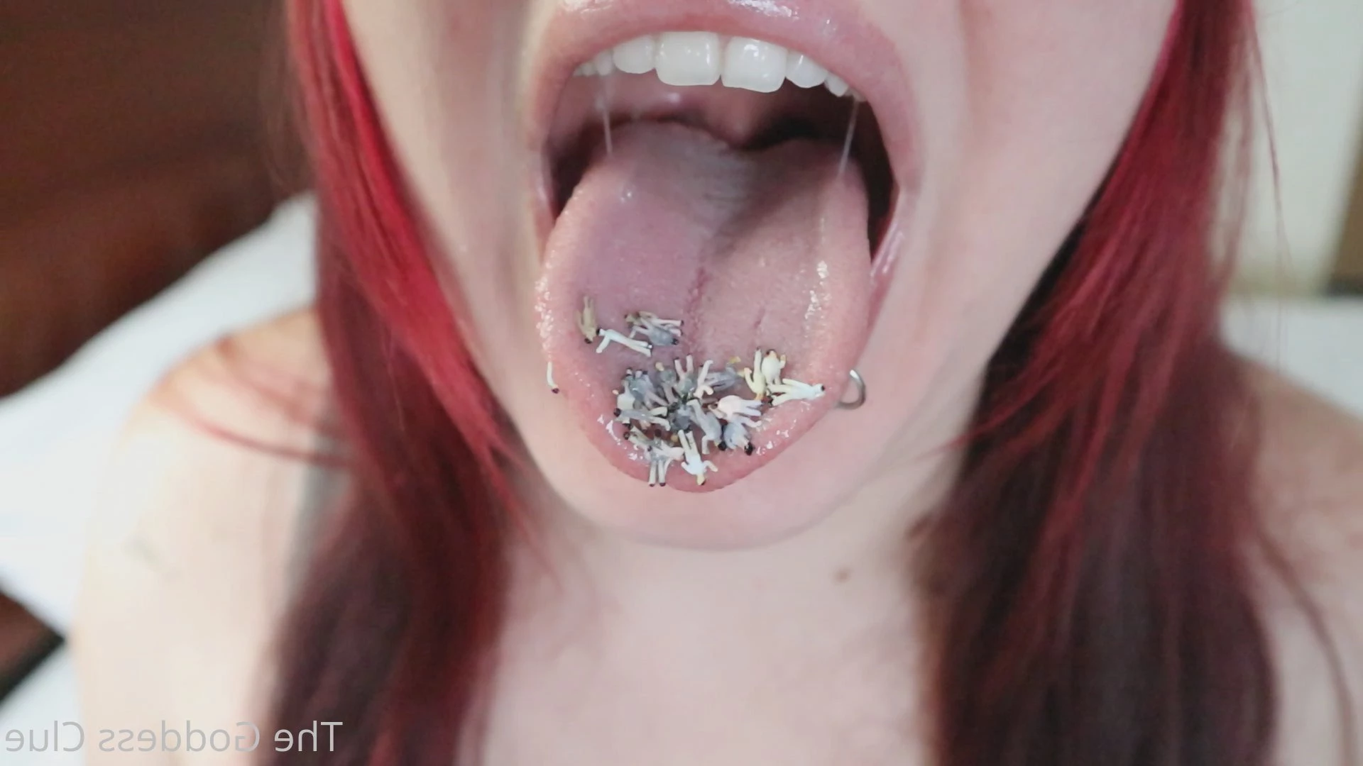 The Goddess Clue [ the-goddess-clue ] Onlyfans leaked photo 4883595 on Hotleaks.tv