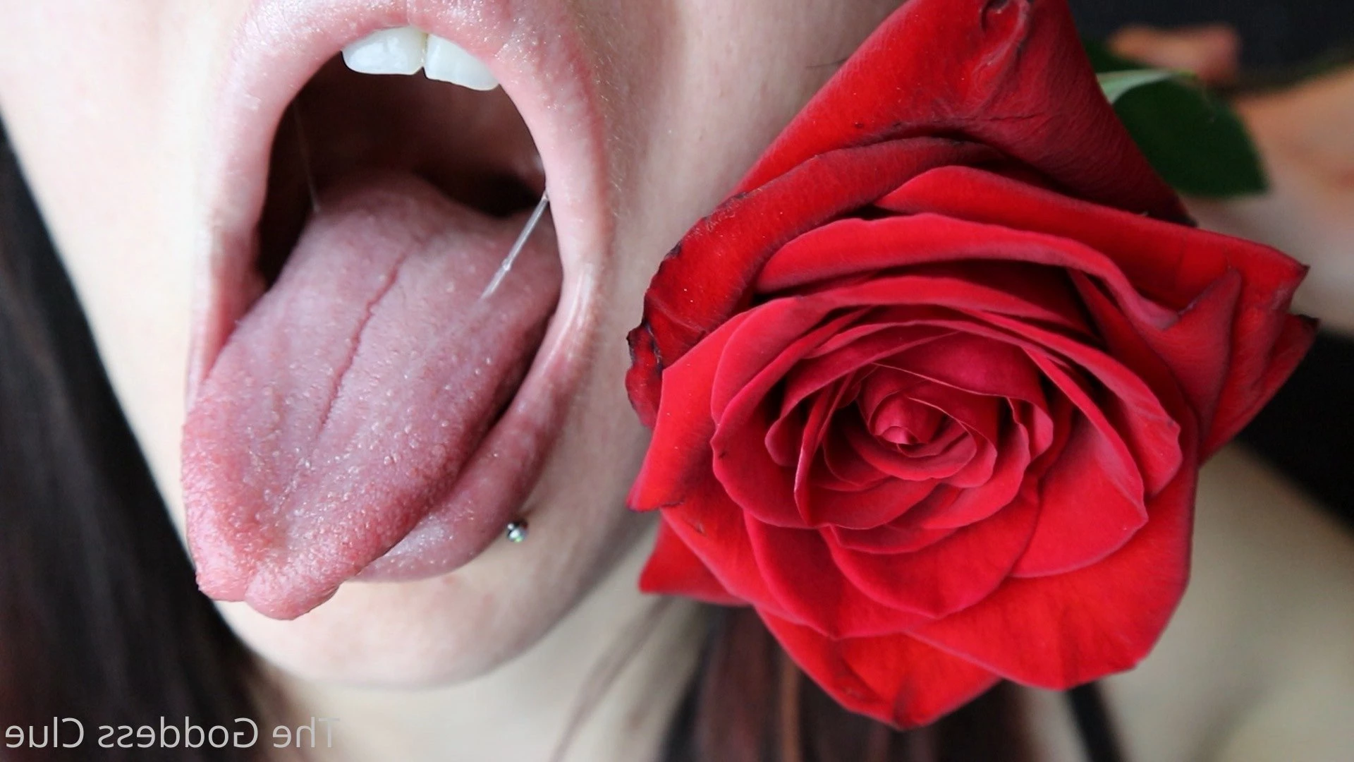The Goddess Clue [ the-goddess-clue ] Onlyfans leaked photo 4889010 on Hotleaks.tv