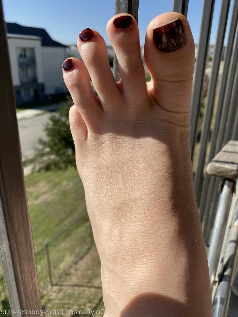 The Goddess Clue [ the-goddess-clue ] Onlyfans leaked photo 4889294 on Hotleaks.tv