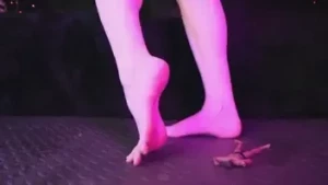 the-goddess-clue-free Onlyfans leaked video 5409255 on Hotleaks.tv