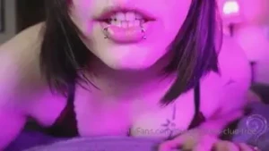 13132538