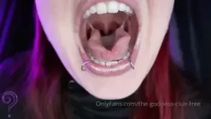 13494688