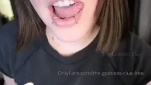 15663354