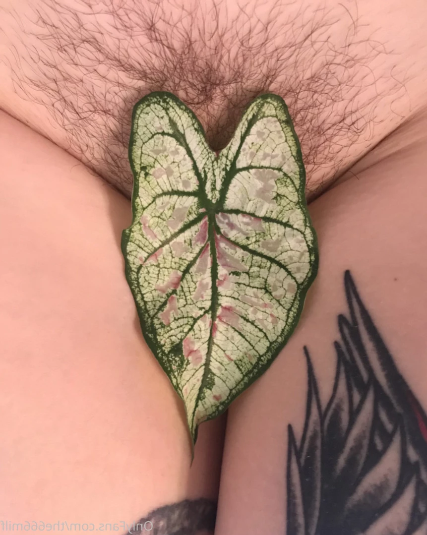 Paris Bush ♡BUTT STUFF 🍑🍩 [ parisbush ] Onlyfans leaked photo 14971597 on Hotleaks.tv