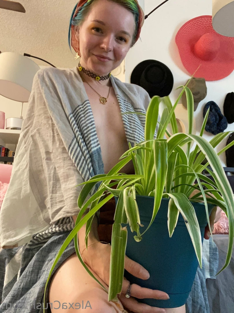 Alexa - Cosplay, POV, and Roleplay [ thealexacrush ] Onlyfans leaked photo 11100748 on Hotleaks.tv