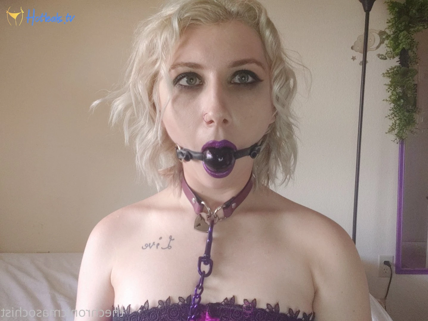 Lavender Lust FREE SAMPLES [ thechronicmasochistfree ] Onlyfans leaked photo 4864024 on Hotleaks.tv