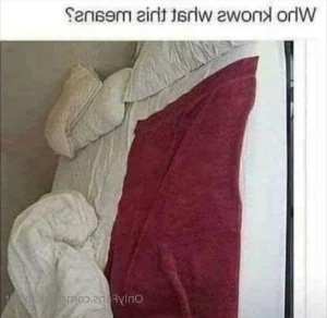 15703441