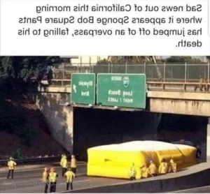 15842684