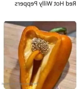 16328208
