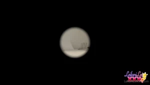 5421290