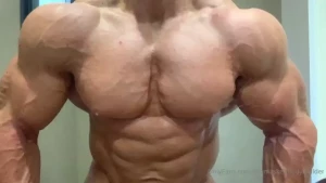 18258239