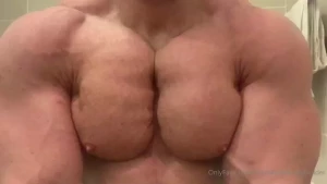 18258249