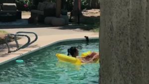 Reagan Foxx [ thereaganfoxx ] Onlyfans leaked video 8628421 on Hotleaks.tv