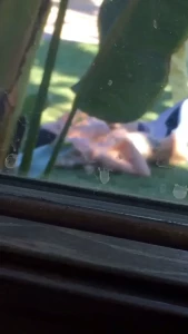 Reagan Foxx [ thereaganfoxx ] Onlyfans leaked video 8628454 on Hotleaks.tv