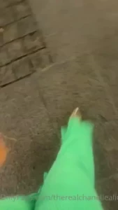 18258229