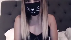 18258176