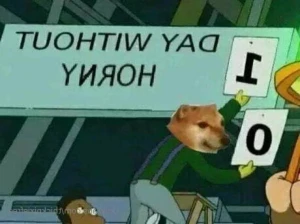 11102897