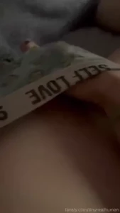 18538255