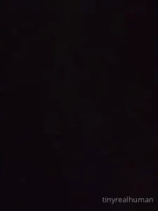 10839525
