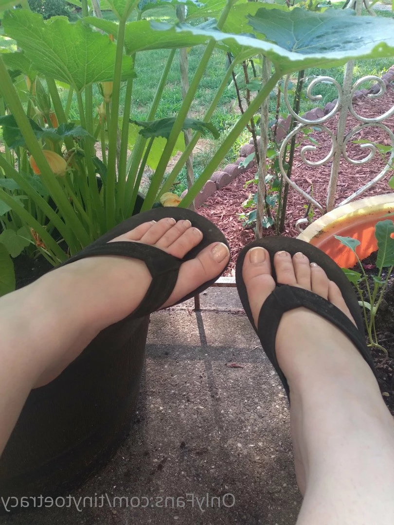 tinytoetracy Onlyfans leaked photo 4836257 on Hotleaks.tv