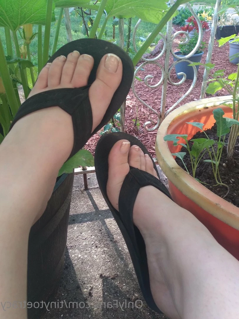 tinytoetracy Onlyfans leaked photo 4836266 on Hotleaks.tv