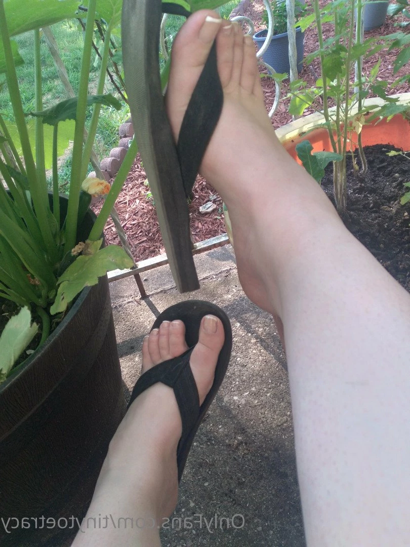 tinytoetracy Onlyfans leaked photo 4836274 on Hotleaks.tv