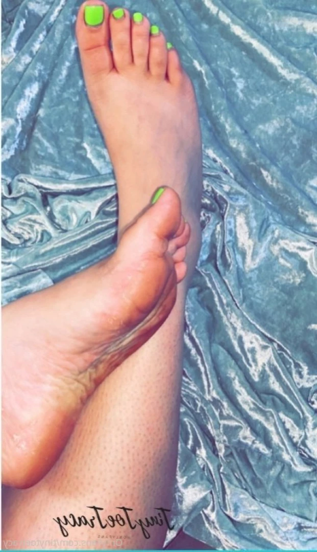 tinytoetracy Onlyfans leaked photo 11102871 on Hotleaks.tv