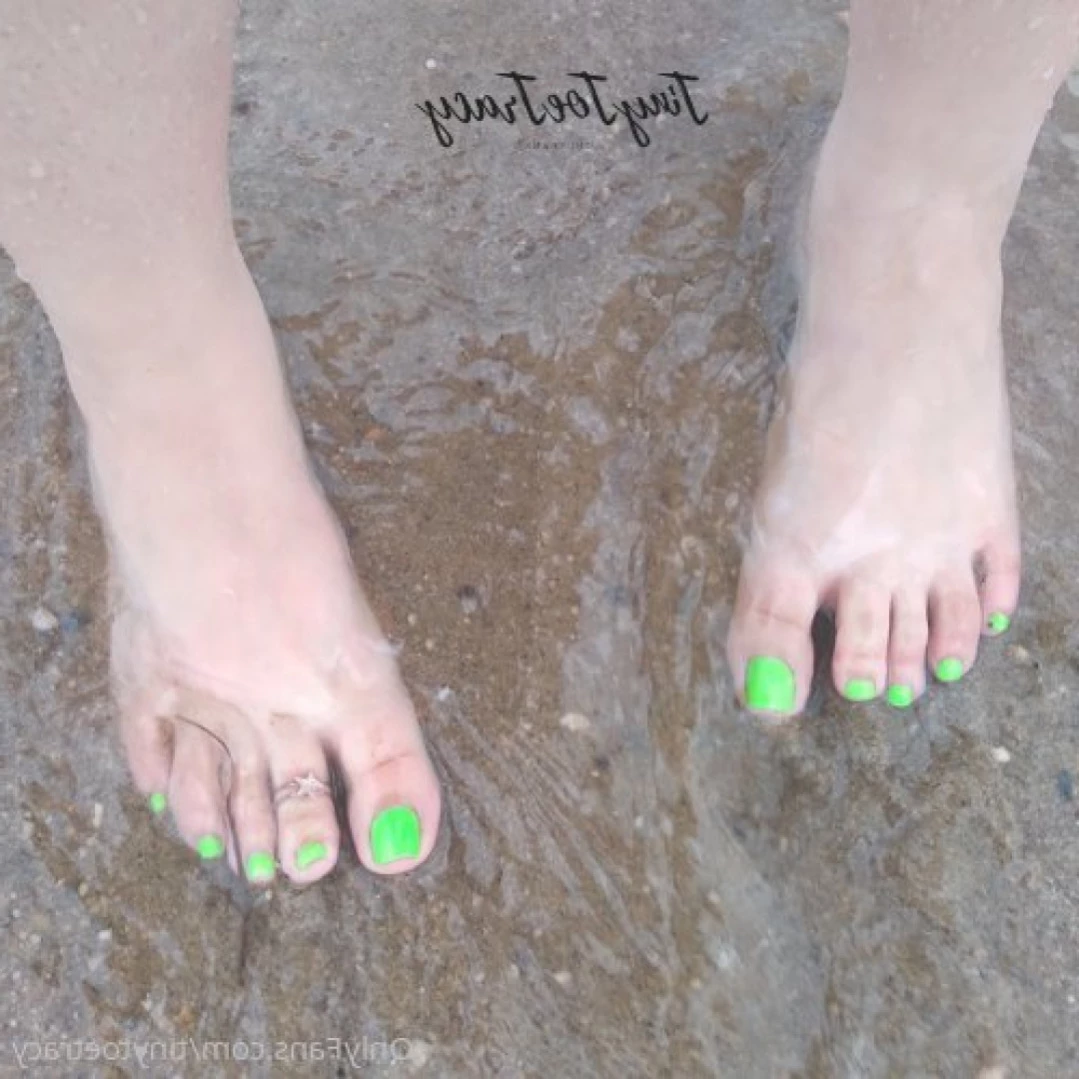 tinytoetracy Onlyfans leaked photo 11102889 on Hotleaks.tv