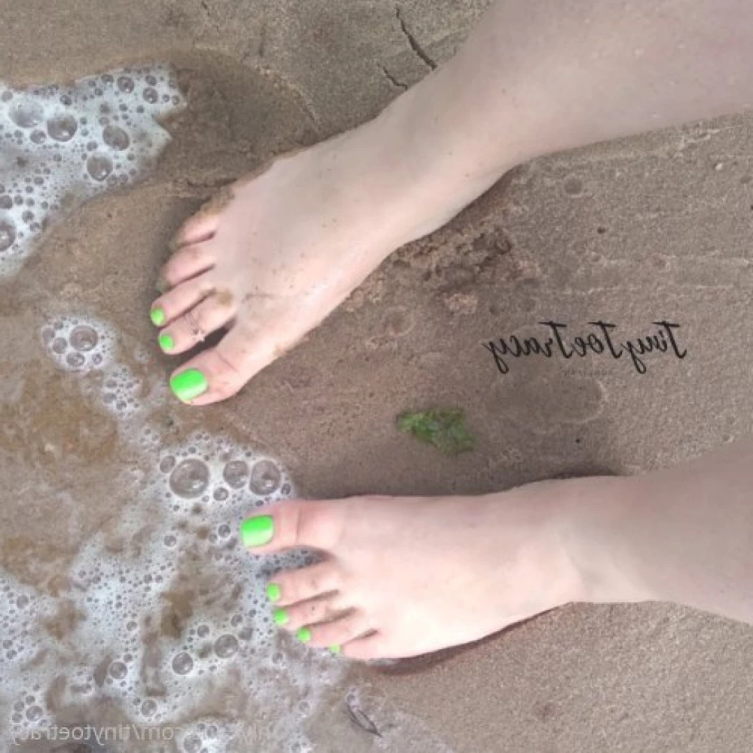 tinytoetracy Onlyfans leaked photo 14133085 on Hotleaks.tv