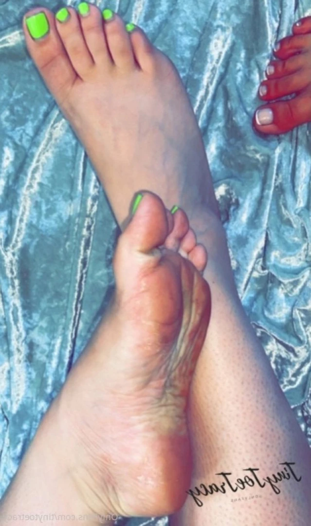 tinytoetracy Onlyfans leaked photo 14472254 on Hotleaks.tv