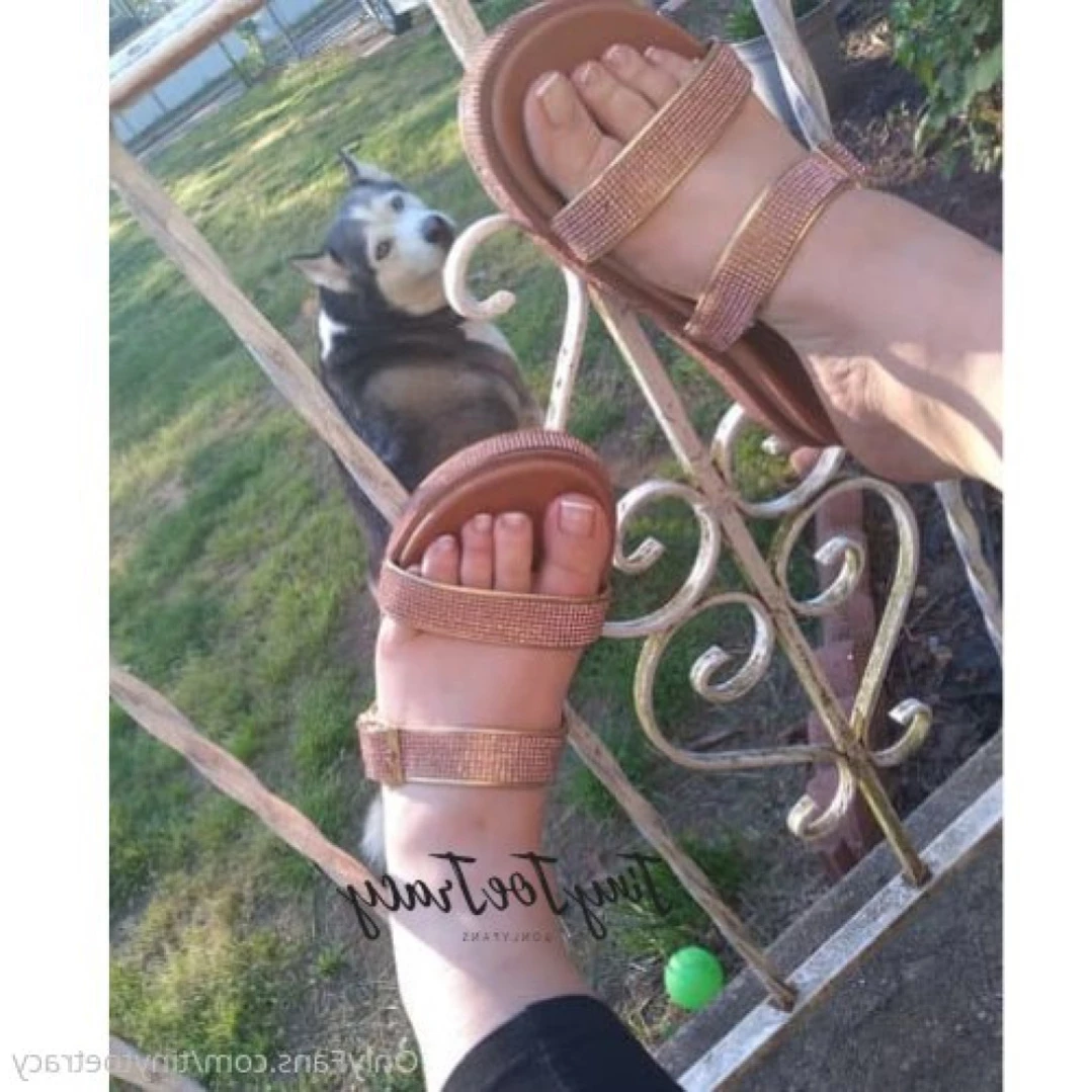 tinytoetracy Onlyfans leaked photo 14642726 on Hotleaks.tv