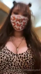 18256816
