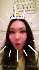 18256828