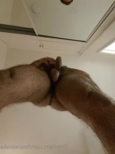 4904827