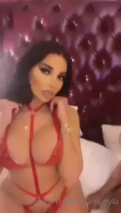 18606629