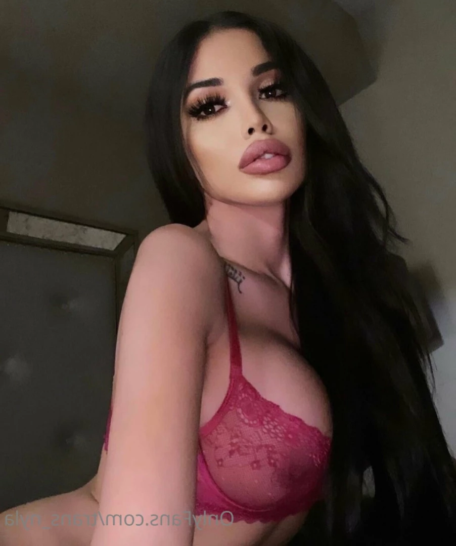 trans_nyla Onlyfans leaked photo 13548768 on Hotleaks.tv